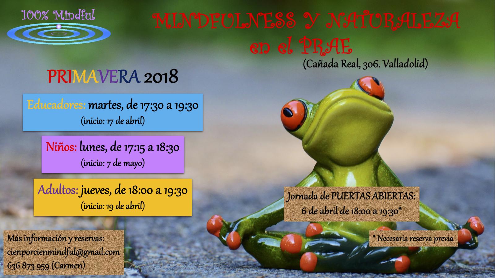 Talleres de Mindfulness y Naturaleza